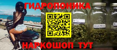 стаф Волжский