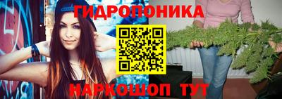 стаф Волжский