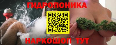крисы Волгодонск
