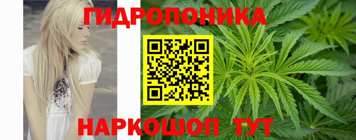 Шишки марихуана план Канск